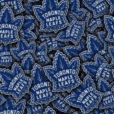 Toronto-Maple-Leafs-22.jpg