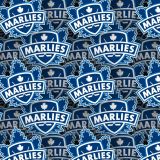 Toronto-Marlies-22.jpg