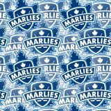 Toronto-Marlies-23.jpg
