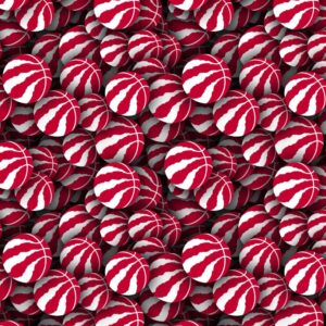 Toronto Raptors 22