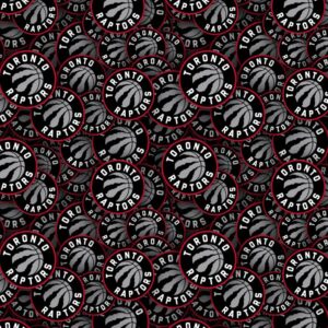 Toronto Raptors 23