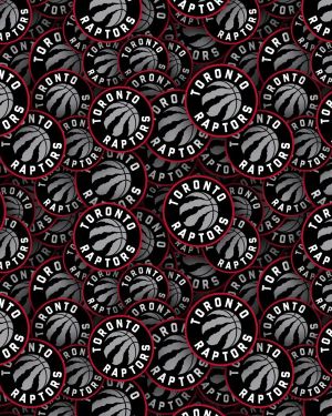 Toronto Raptors 23