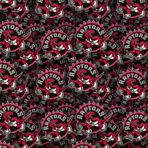 Toronto Raptors 24