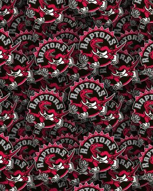 Toronto Raptors 24
