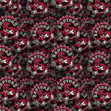 Toronto-Raptors-24.jpg