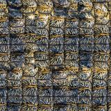 Tortoise-Shell-22.jpg