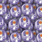 Toulouse-FC.jpg