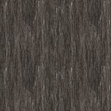 Tree-Bark-22.jpg