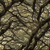 Tree-Stand-Camo-25.jpg