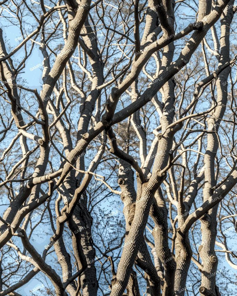 Tree Stand Camouflage 43