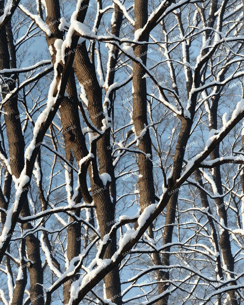 Tree Stand Camouflage 44