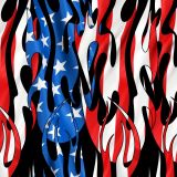 Tribal-Flames-US-Flag-26.jpg