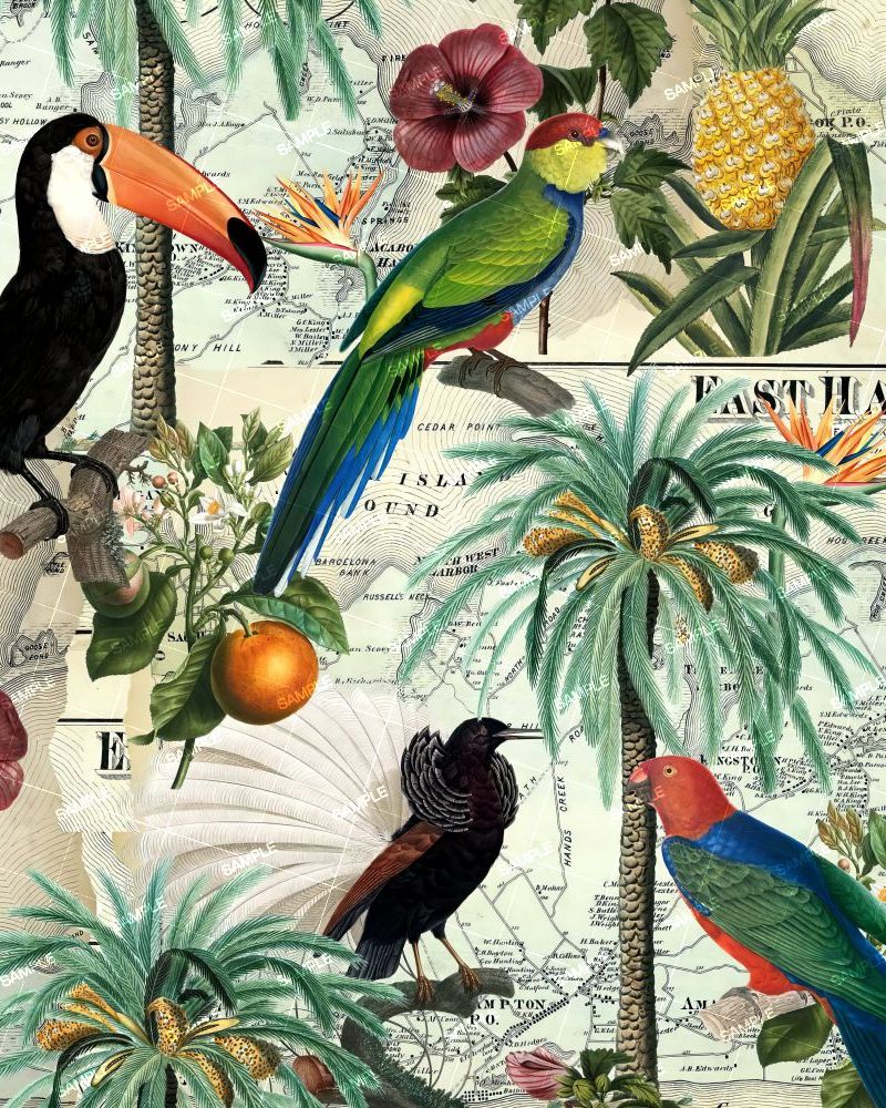 Tropical BIrd Map 42