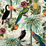 Tropical-BIrd-Map-42.jpg