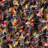 Tropical-Birds-Watercolor-22.jpg