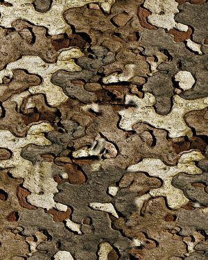 True Bark 22 Camouflage