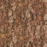 True-Bark-26-thumb.jpg