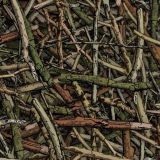 True-Stick-Camo-22.jpg