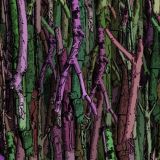 True-Stick-Camo-25.jpg