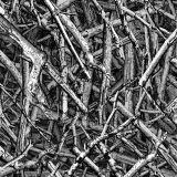 True-Stick-Camo-26.jpg