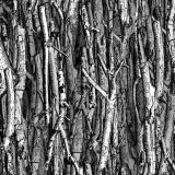 True-Stick-Camo-27.jpg
