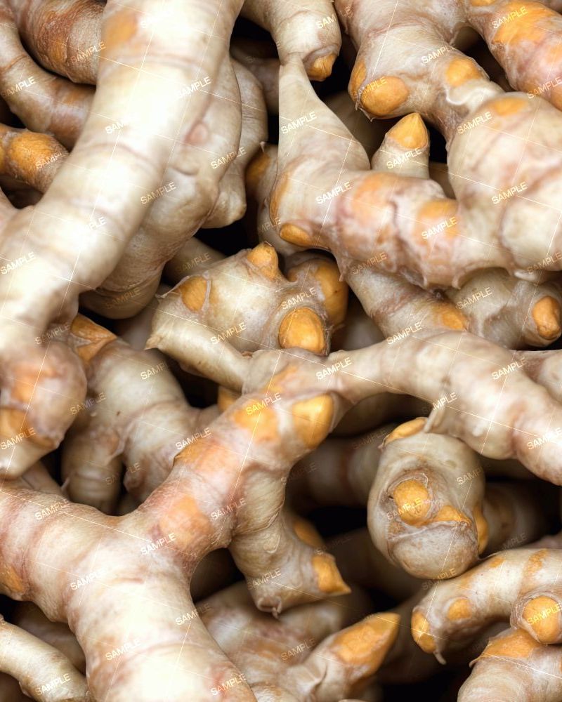 Turmeric Root 42