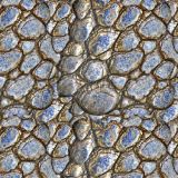 Turtle-Skin-22.jpg