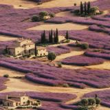 Tuscan-Farmhouse-in-a-Field-of-Lavender.jpg