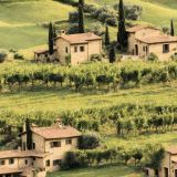 Tuscan-Farmhouse-in-a-Vineyard.jpg