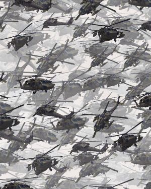 UH 80 BlackHawk Helicopters 22