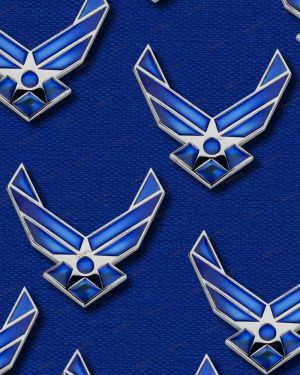 US Air Force Symbol 20