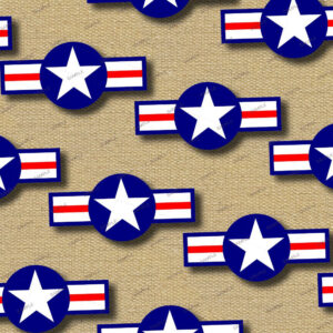 US Air Force Symbol 21