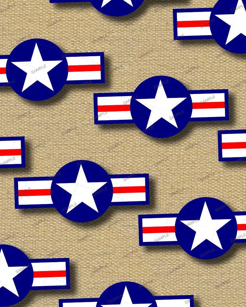 US Air Force Symbol 21