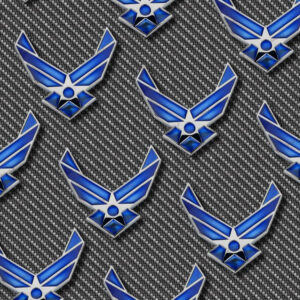 US Air Force Symbol 29