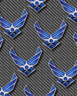US Air Force Symbol 29