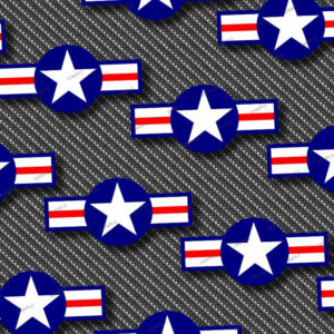 US Air Force Symbol 30