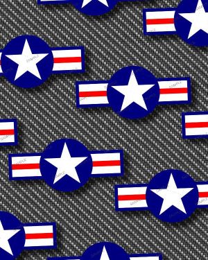 US Air Force Symbol 30