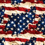 US-Battle-Flag-43.jpg