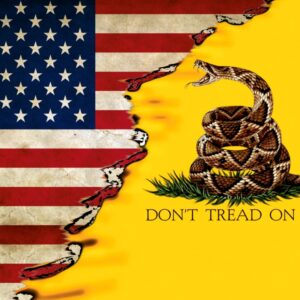 US Gadsden Flag 22 11x16