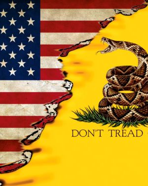 US Gadsden Flag 22 11×16