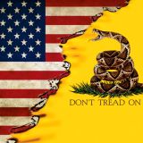 US-Gadsden-Flag-22-11x16-1.jpg