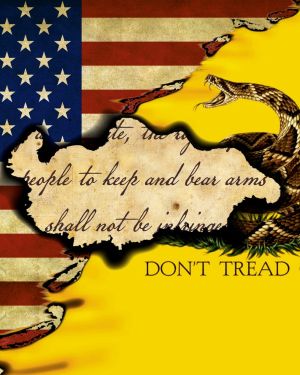 US Gadsden Flag 23 11×16