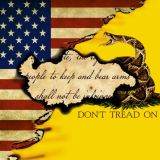 US-Gadsden-Flag-23-11x16-1.jpg