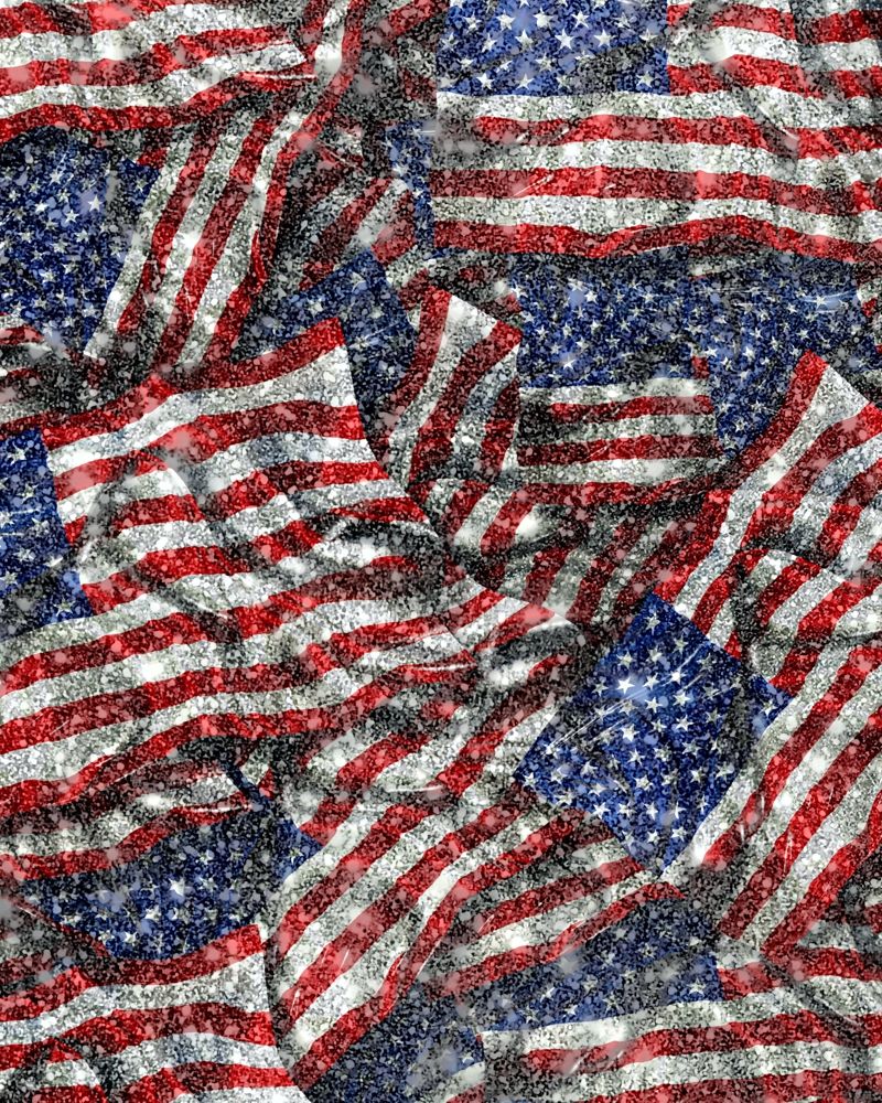 US Glitter Flag 23