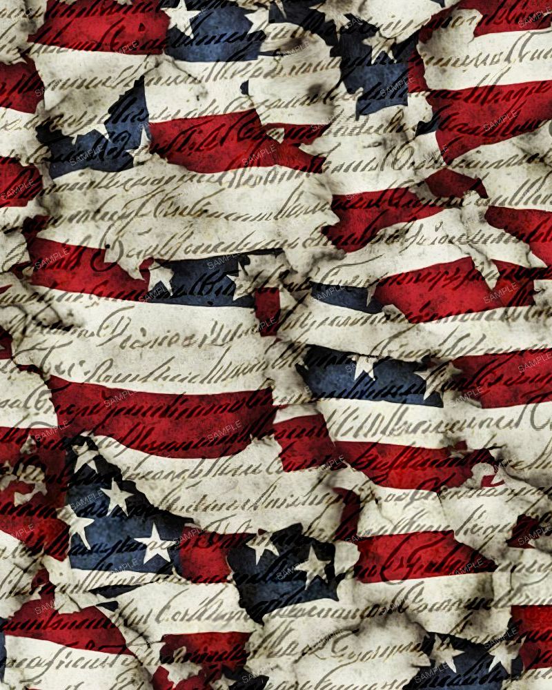 US Grunge Constitution Flag