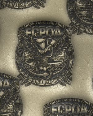 US Navy FCPOA Emblem 24
