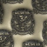 US-Navy-FCPOA-Emblem-24.jpg
