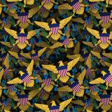 US-Virgin-Islands.jpg