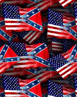 US and Confederate Flag