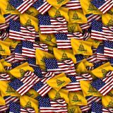 US-and-Gadsden-Flags-23.jpg
